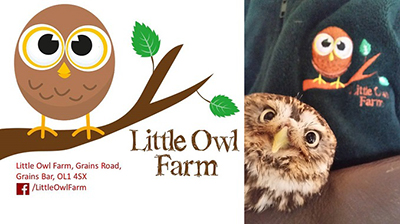 Little Owl Farm