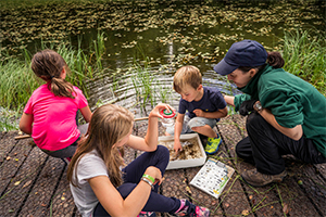 Drumlanrig Ranger activities