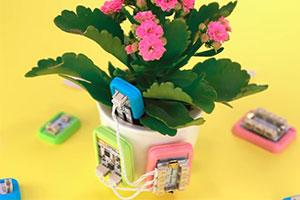 DFRobot - micro:bit-designed ‘smart garden’ at Bett 2020.