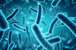 legionella control in education