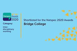 Bridge National Award shortlist April 2020