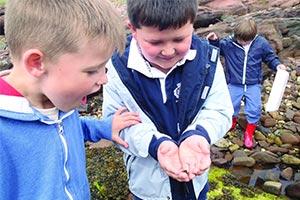 environmental fieldwork lessons