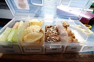 lunch box to tackle eating disorder