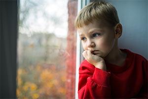 Free bereavement training and new bereavement policy for schools