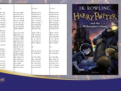 Harry Potter book night