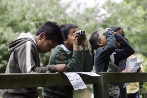 Children looking up in the sky for birds using binoculars while one checks a list